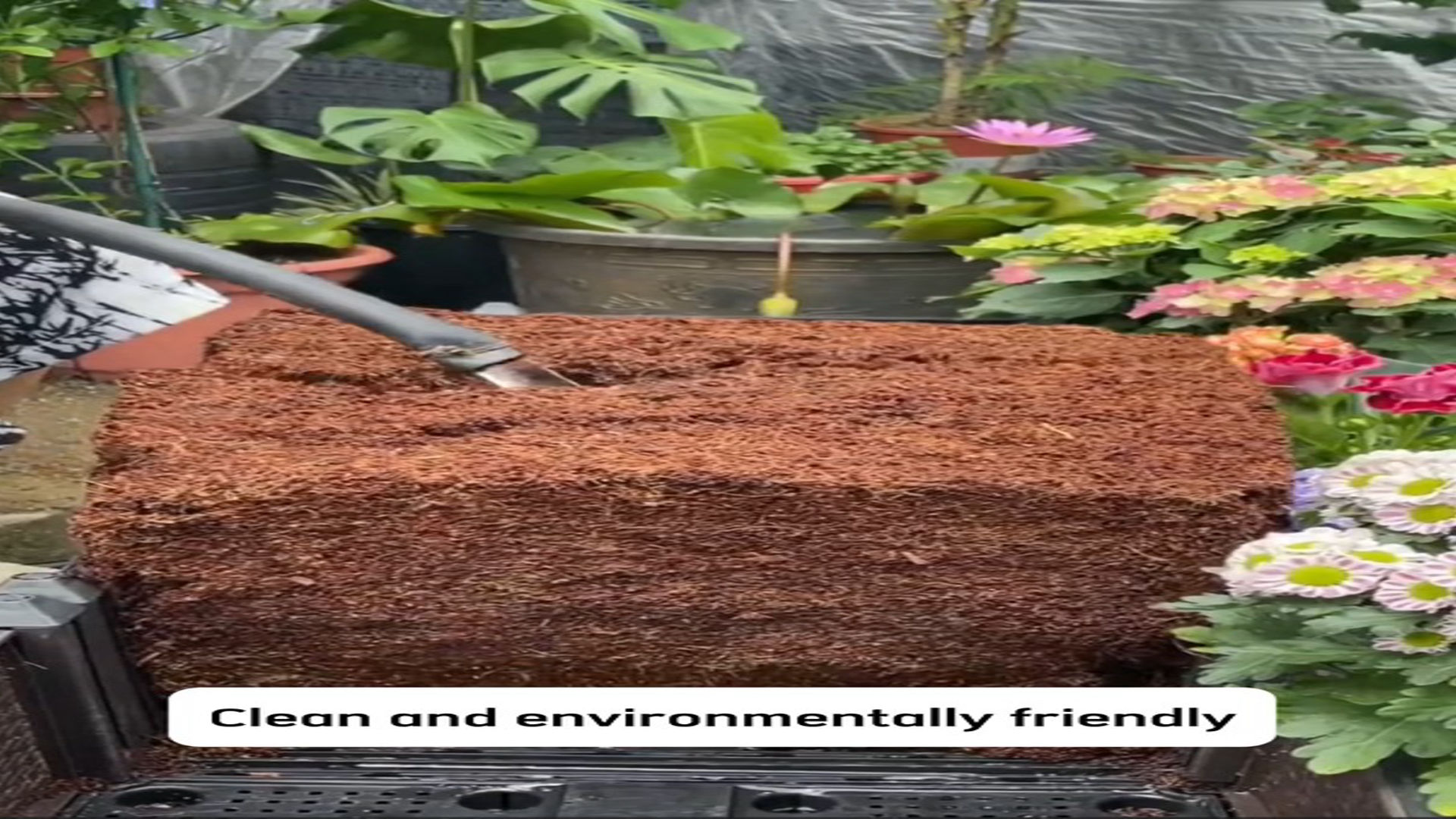Amazon.com : Coco Coir Brick 10 LB - Premium Compressed Coconut